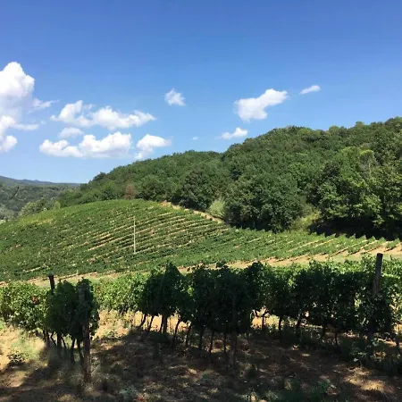 Antica Fattoria San Giovanni