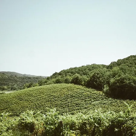 Antica Fattoria San Giovanni * Montescudaio