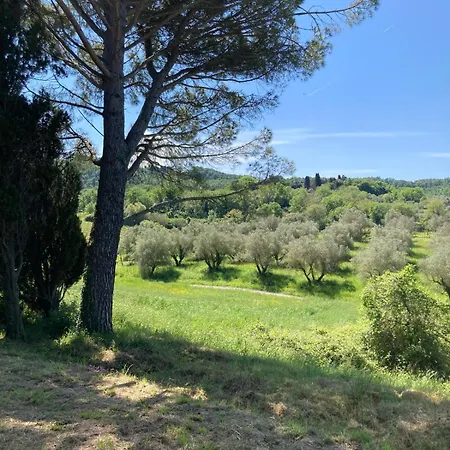 Antica Fattoria San Giovanni Montescudaio